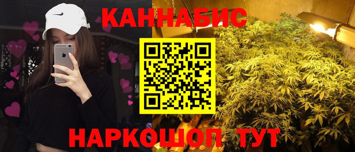 Бошки Шишки тримм  Шишки марихуана семена  Кировск  Шишки марихуана план  Вход с VPN  Шишки марихуана тримм 